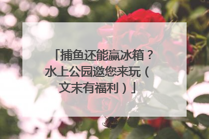 捕鱼还能赢冰箱？水上公园邀您来玩（文末有福利）