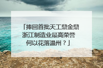 捧回首批天工鼎金鼎 浙江制造业最高荣誉何以花落温州？