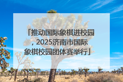 推动国际象棋进校园，2025济南市国际象棋校园团体赛举行