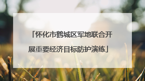怀化市鹤城区军地联合开展重要经济目标防护演练