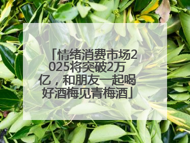 情绪消费市场2025将突破2万亿，和朋友一起喝好酒梅见青梅酒