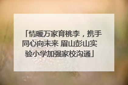 情暖万家育桃李，携手同心向未来 眉山彭山实验小学加强家校沟通