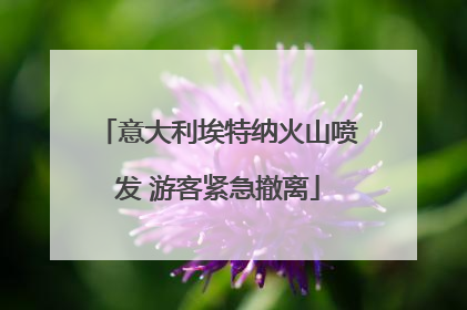 意大利埃特纳火山喷发 游客紧急撤离