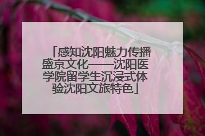 感知沈阳魅力传播盛京文化——沈阳医学院留学生沉浸式体验沈阳文旅特色