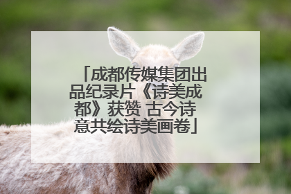 成都传媒集团出品纪录片《诗美成都》获赞 古今诗意共绘诗美画卷
