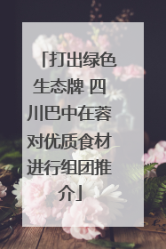 打出绿色生态牌 四川巴中在蓉对优质食材进行组团推介