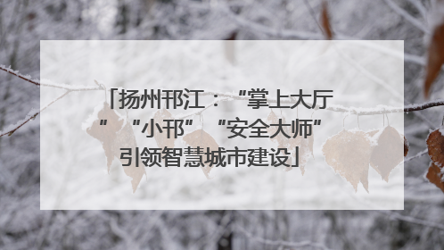 扬州邗江：“掌上大厅”“小邗”“安全大师”引领智慧城市建设