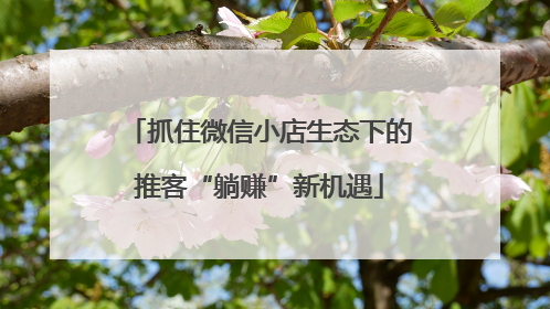 抓住微信小店生态下的推客“躺赚”新机遇
