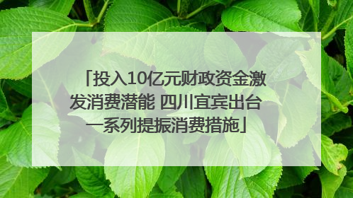 投入10亿元财政资金激发消费潜能 四川宜宾出台一系列提振消费措施