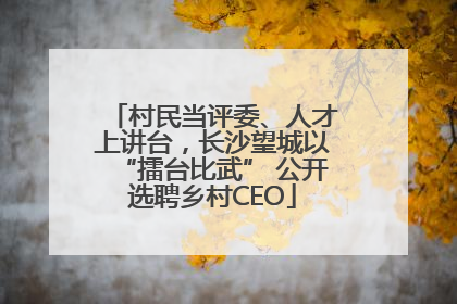 村民当评委、人才上讲台，长沙望城以“擂台比武” 公开选聘乡村CEO