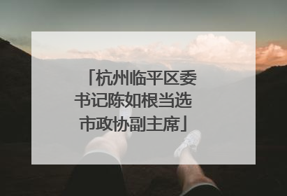 杭州临平区委书记陈如根当选市政协副主席
