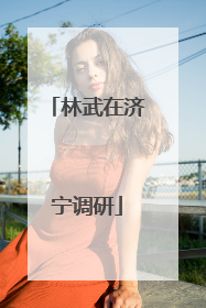 林武在济宁调研