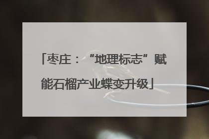 枣庄：“地理标志”赋能石榴产业蝶变升级