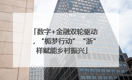 数字+金融双轮驱动，“栀梦行动”“浙”样赋能乡村振兴