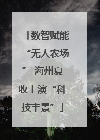 数智赋能“无人农场” 海州夏收上演“科技丰景”