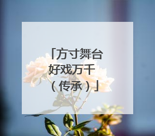 方寸舞台 好戏万千（传承）