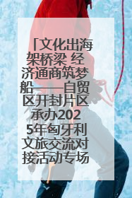 文化出海架桥梁 经济通商筑梦船——自贸区开封片区承办2025年匈牙利文旅交流对接活动专场