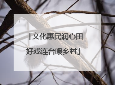 文化惠民润心田 好戏连台暖乡村