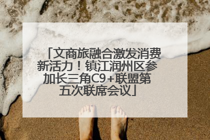 文商旅融合激发消费新活力！镇江润州区参加长三角C9+联盟第五次联席会议
