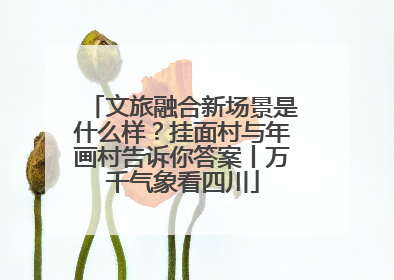 文旅融合新场景是什么样？挂面村与年画村告诉你答案丨万千气象看四川