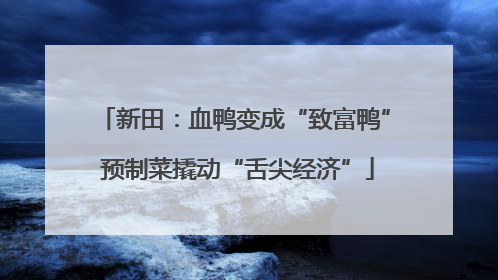 新田：血鸭变成“致富鸭” 预制菜撬动“舌尖经济”
