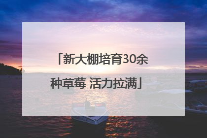 新大棚培育30余种草莓 活力拉满