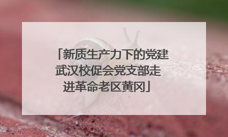 新质生产力下的党建 武汉校促会党支部走进革命老区黄冈