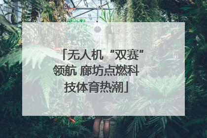 无人机“双赛”领航 廊坊点燃科技体育热潮