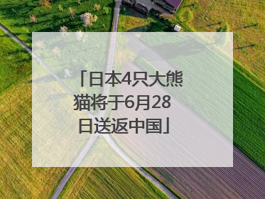 日本4只大熊猫将于6月28日送返中国