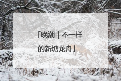 晚潮｜不一样的新塘龙舟