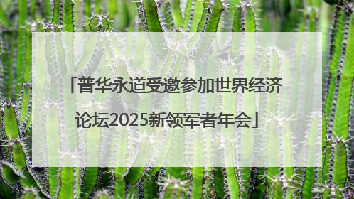 普华永道受邀参加世界经济论坛2025新领军者年会