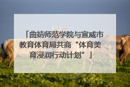 曲靖师范学院与宣威市教育体育局共商“体育美育浸润行动计划”