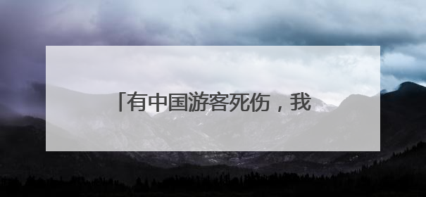 有中国游客死伤，我驻意大利使馆发声