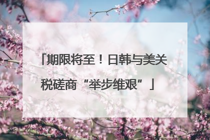 期限将至！日韩与美关税磋商“举步维艰”