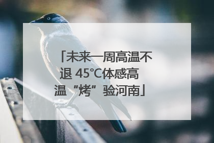 未来一周高温不退 45℃体感高温“烤”验河南
