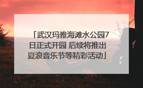 武汉玛雅海滩水公园7日正式开园 后续将推出夏浪音乐节等精彩活动