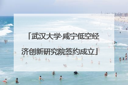 武汉大学·咸宁低空经济创新研究院签约成立