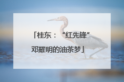 桂东：“红先锋”邓耀明的油茶梦