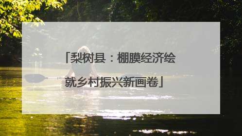 梨树县：棚膜经济绘就乡村振兴新画卷