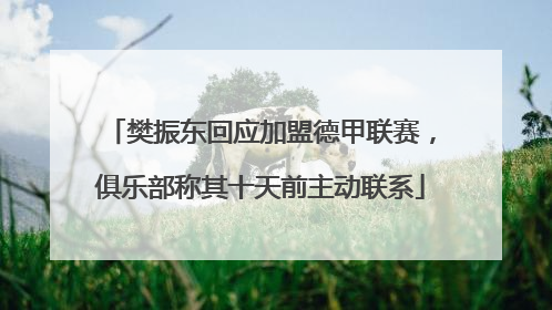 樊振东回应加盟德甲联赛，俱乐部称其十天前主动联系