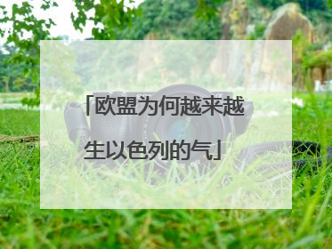 欧盟为何越来越生以色列的气