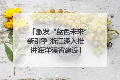 激发“蓝色未来”新引擎 浙江深入推进海洋强省建设
