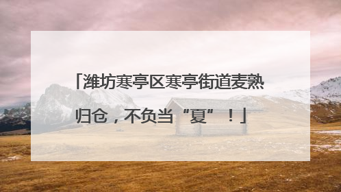 潍坊寒亭区寒亭街道麦熟归仓，不负当“夏”！