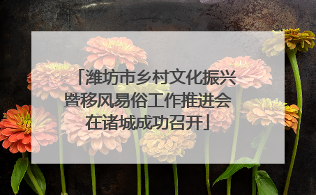 潍坊市乡村文化振兴暨移风易俗工作推进会在诸城成功召开