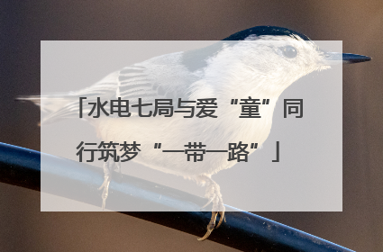水电七局与爱“童”同行筑梦“一带一路”