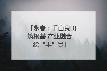 永春：千亩良田筑根基 产业融合绘“丰”景