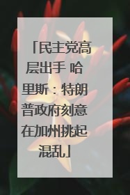 民主党高层出手 哈里斯：特朗普政府刻意在加州挑起混乱