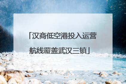 汉商低空港投入运营 航线覆盖武汉三镇