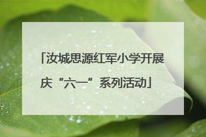 汝城思源红军小学开展庆“六一”系列活动