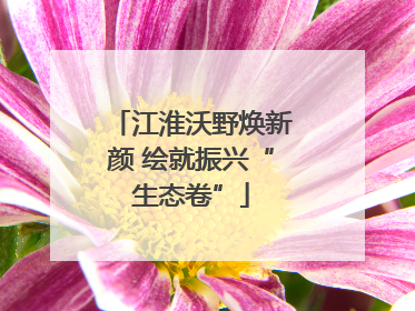 江淮沃野焕新颜 绘就振兴“生态卷”
